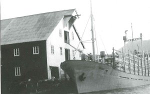 Langedalskaia-300