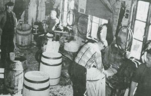 bakkebua-300